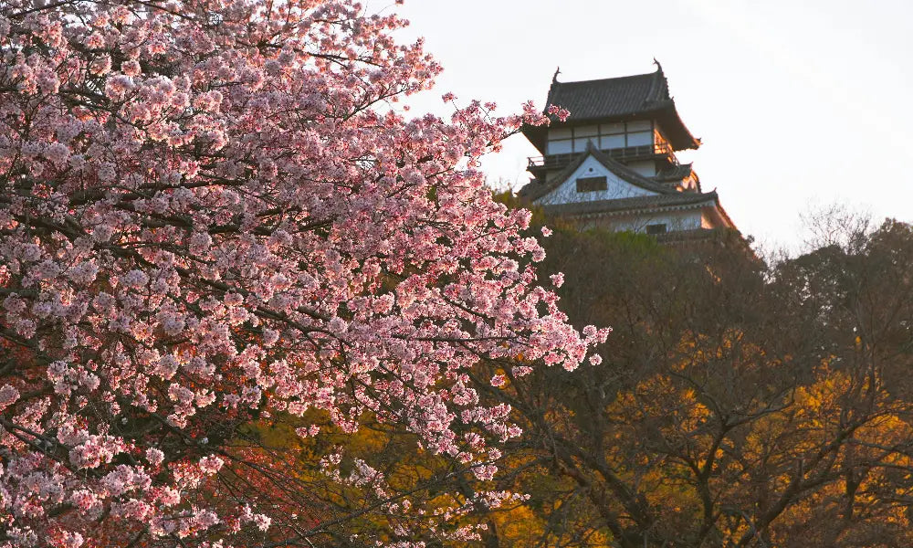 Comment la culture japonaise a-t-elle influencé l'Occident ?
